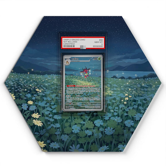 144-142-ledian large graded display