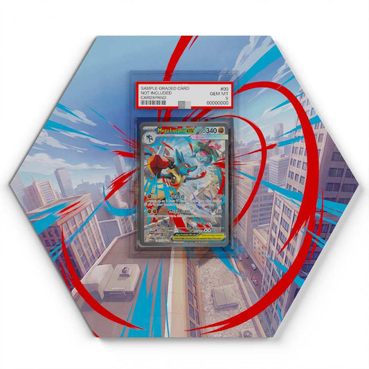 179-132-mega-lucario-ex large graded display