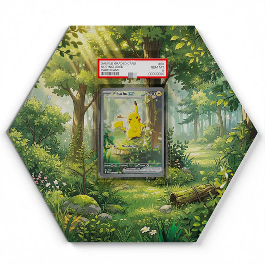 276-217-pikachu-ex large graded display