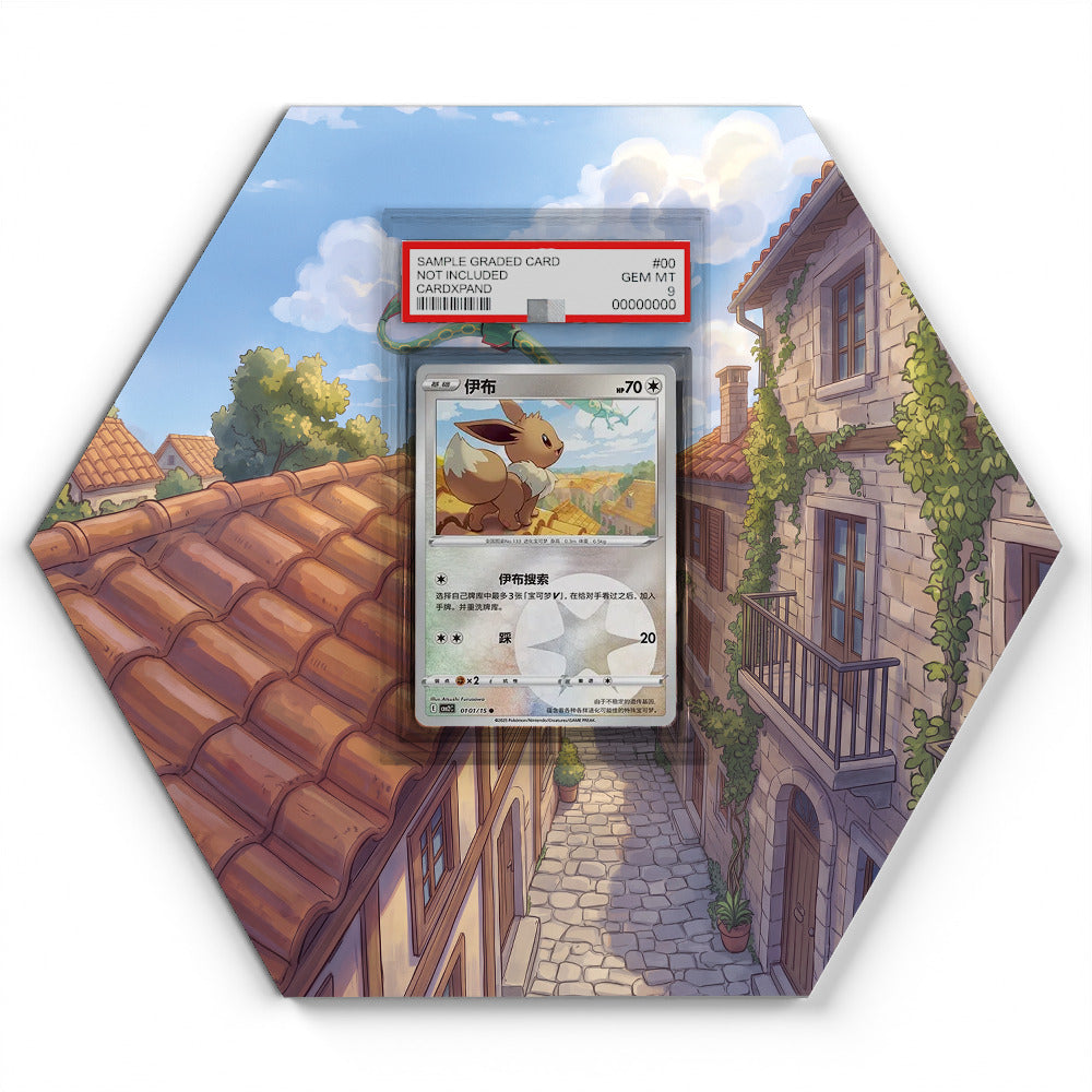0101/15 Eevee - Extended Artwork Pokemon Card Display