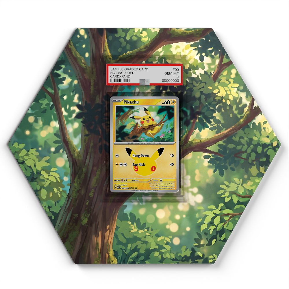 041/128 Pikachu - Extended Artwork Pokemon Card Display