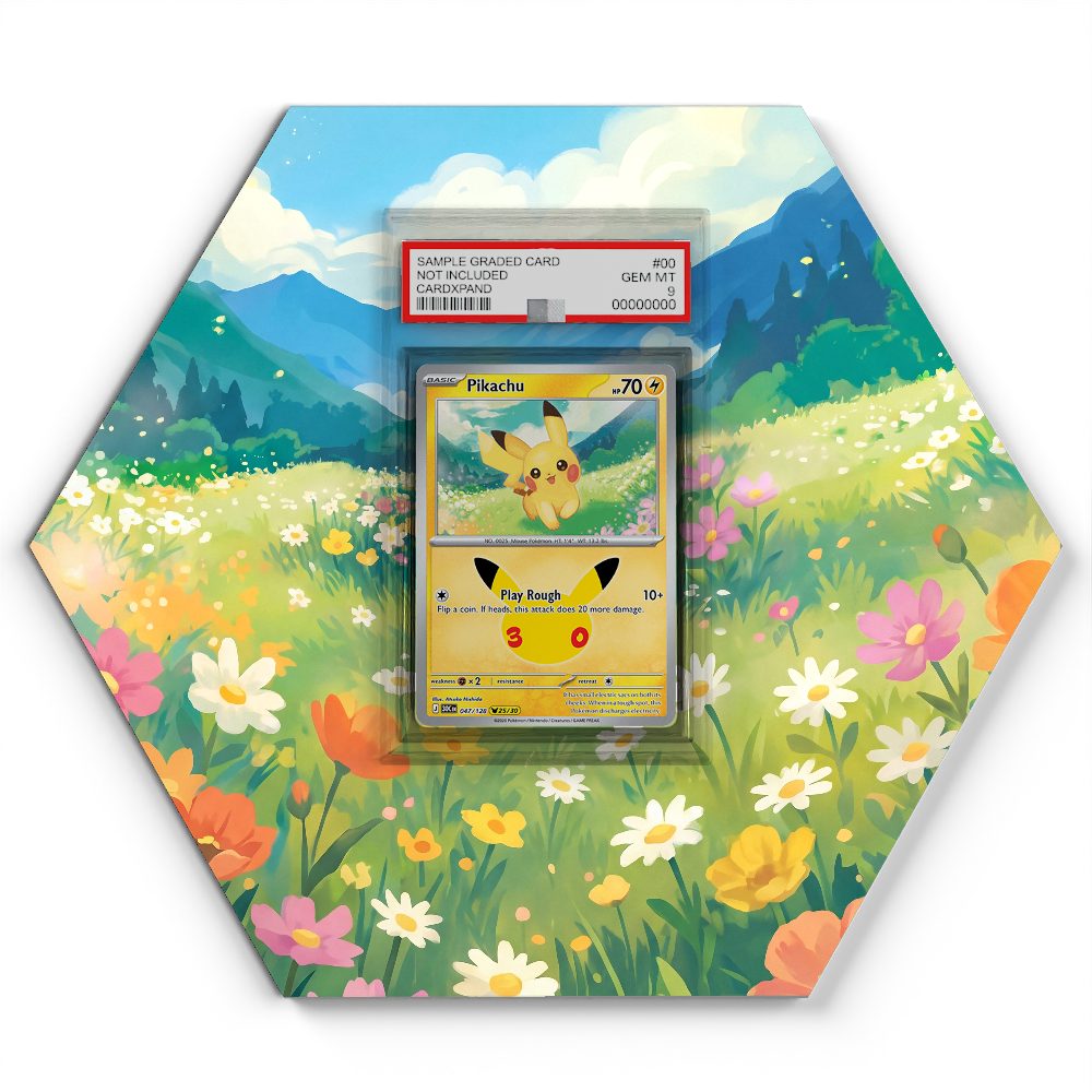 047/128 Pikachu - Extended Artwork Pokemon Card Display