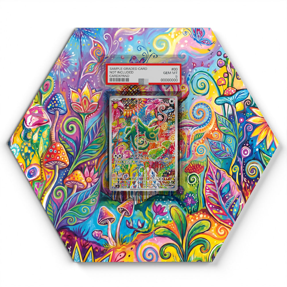088/076 Kecleon - Extended Artwork Pokemon Card Display