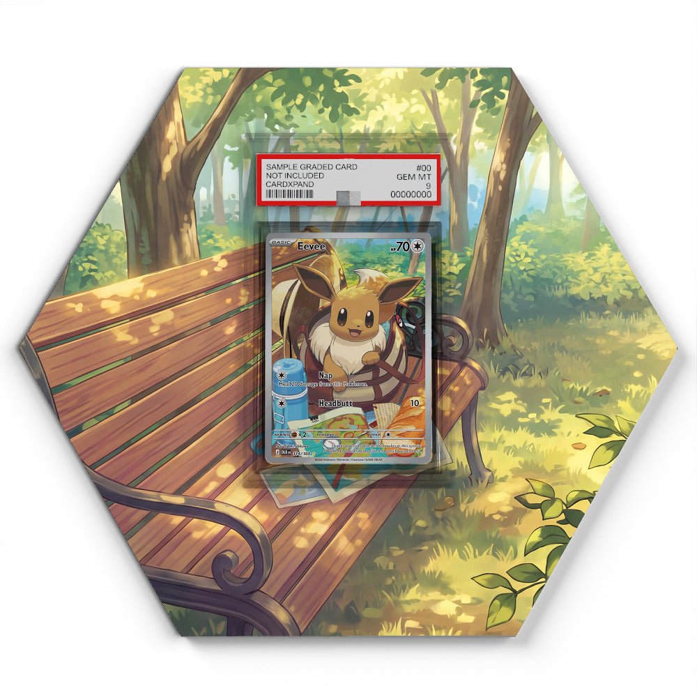 114/103 Eevee - Extended Artwork Pokemon Card Display