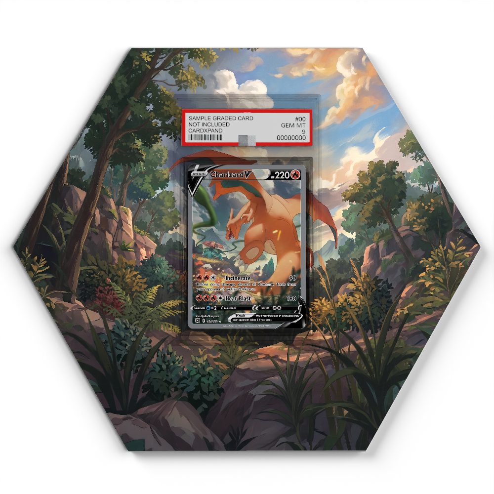 154/172 Charizard V - Extended Artwork Pokemon Card Display