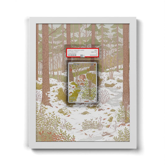 165 Swinub - Extended Artwork Framed Pokemon Card Display