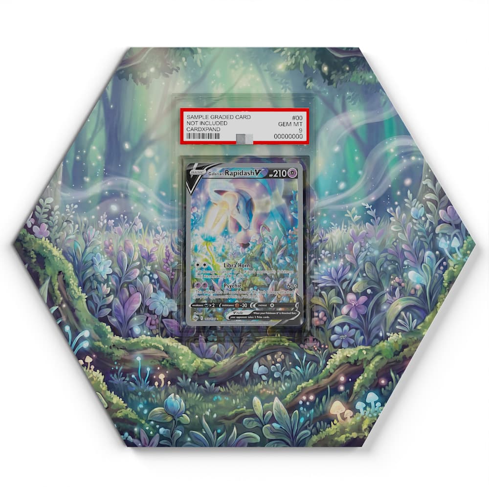 168 Rapidash - Extended Artwork Pokemon Card Display