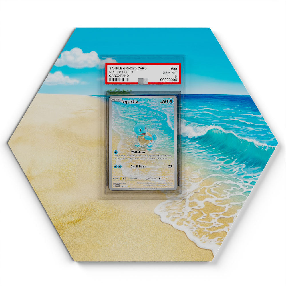 170/165 Squirtle - Extended Artwork Pokemon Card Display