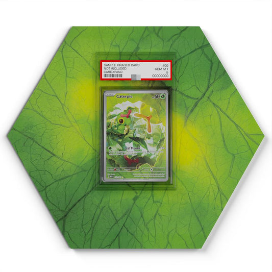 172-165-caterpie large graded display