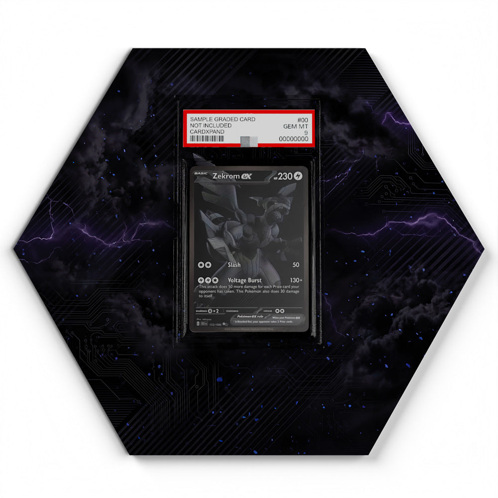 174/086 Zekrom EX - Extended Artwork Pokemon Card Display