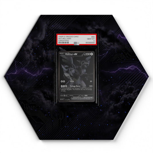 174/086 Zekrom EX - Extended Artwork Pokemon Card Display