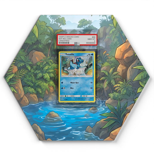 18/73 Totodile - Extended Artwork Pokemon Card Display