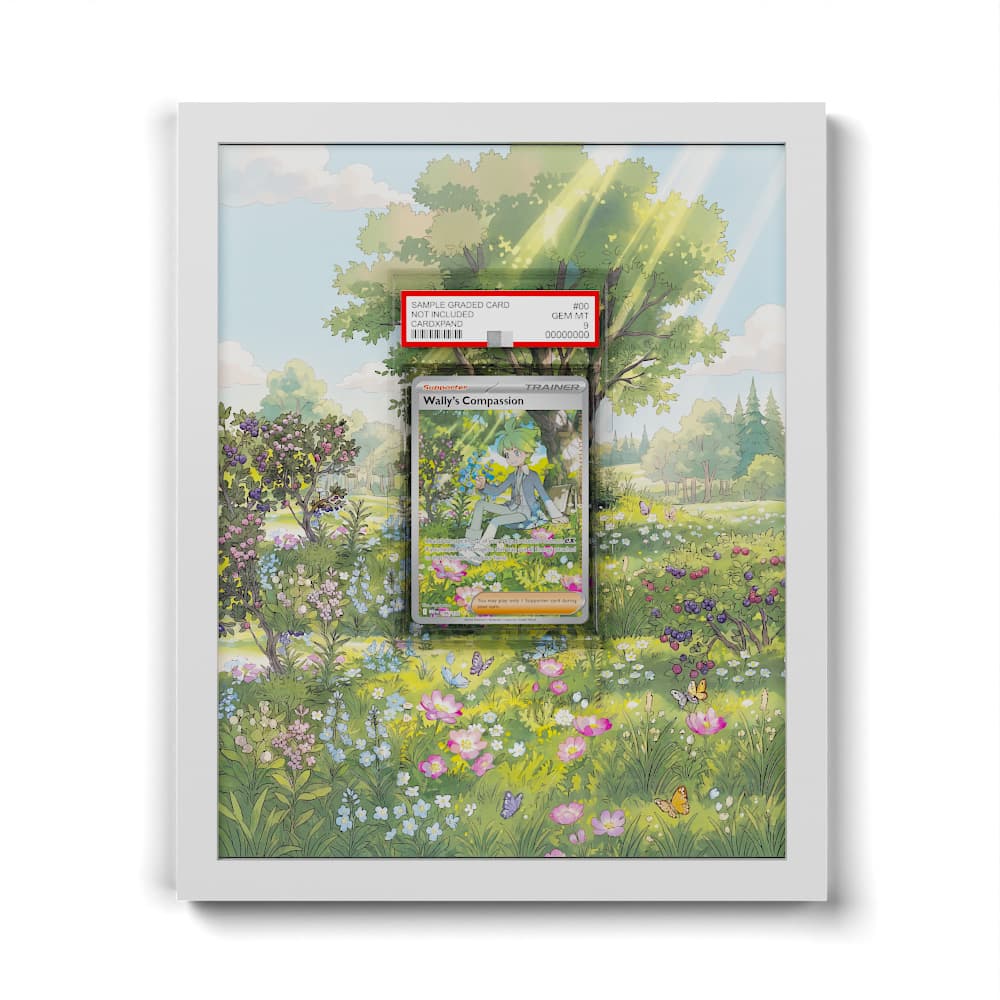 186 Wally's Compassion - Extended Artwork Framed Pokemon Card Display