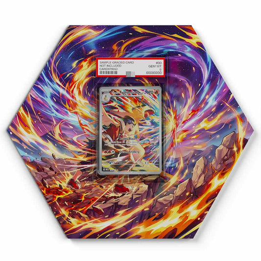 190-182-ethans-typhlosion large graded display