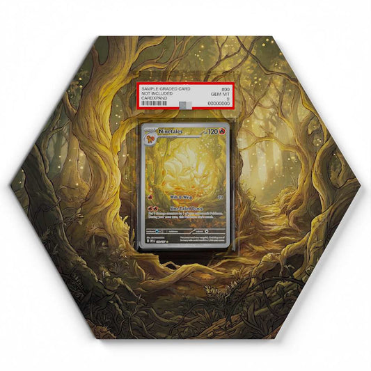 199-197-ninetales large graded display