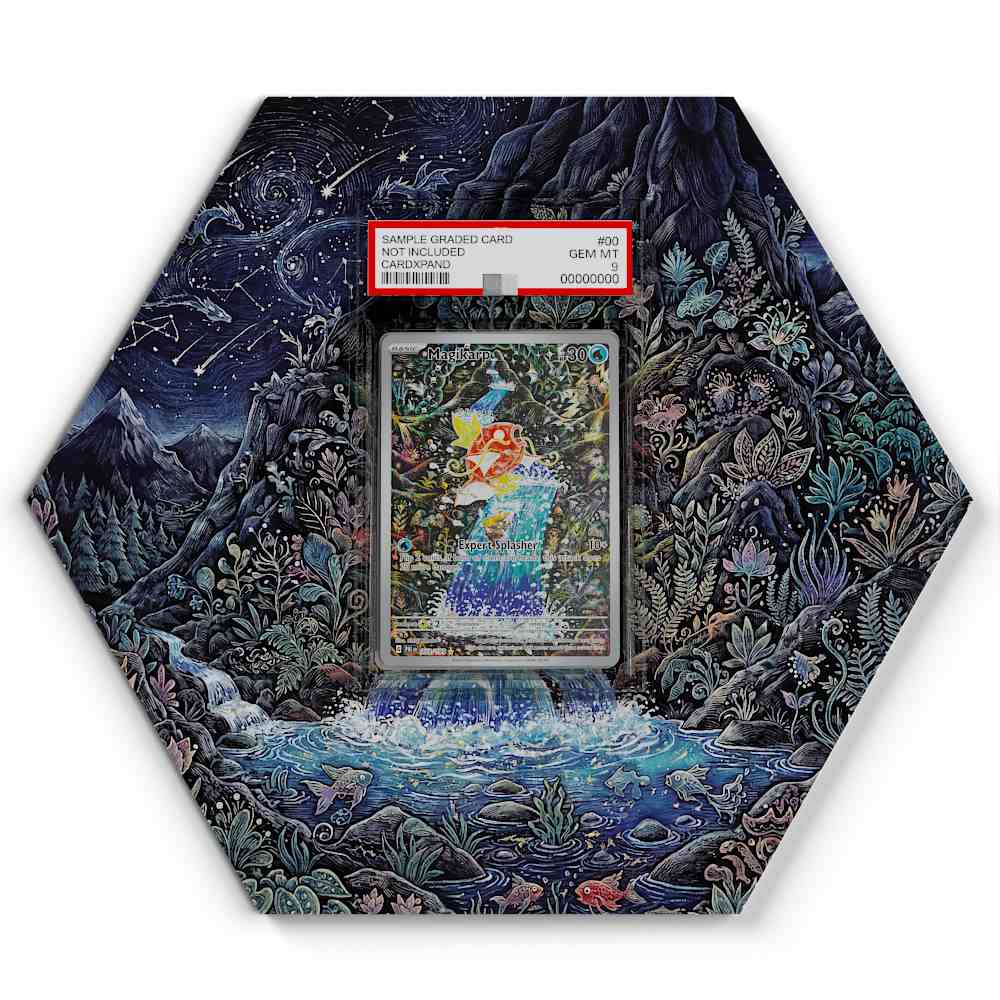 203-193-magikarp large graded display