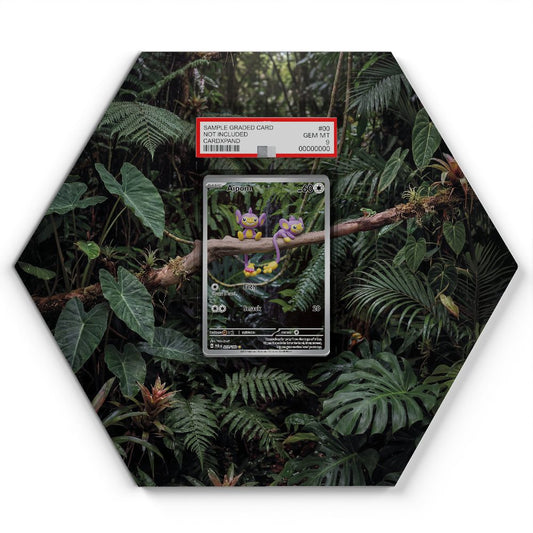 211/182 Aipom - Extended Artwork Pokemon Card Display