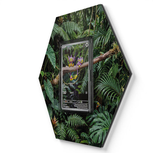 211/182 Aipom - Extended Artwork Pokemon Card Display