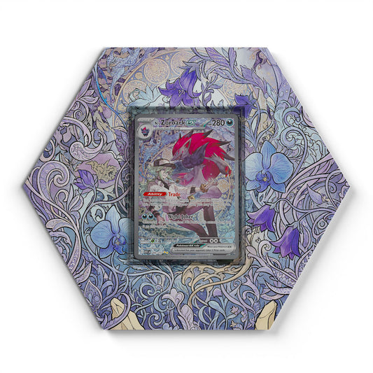 286/217 N's Zoroark EX - Extended Artwork Pokemon Card Display