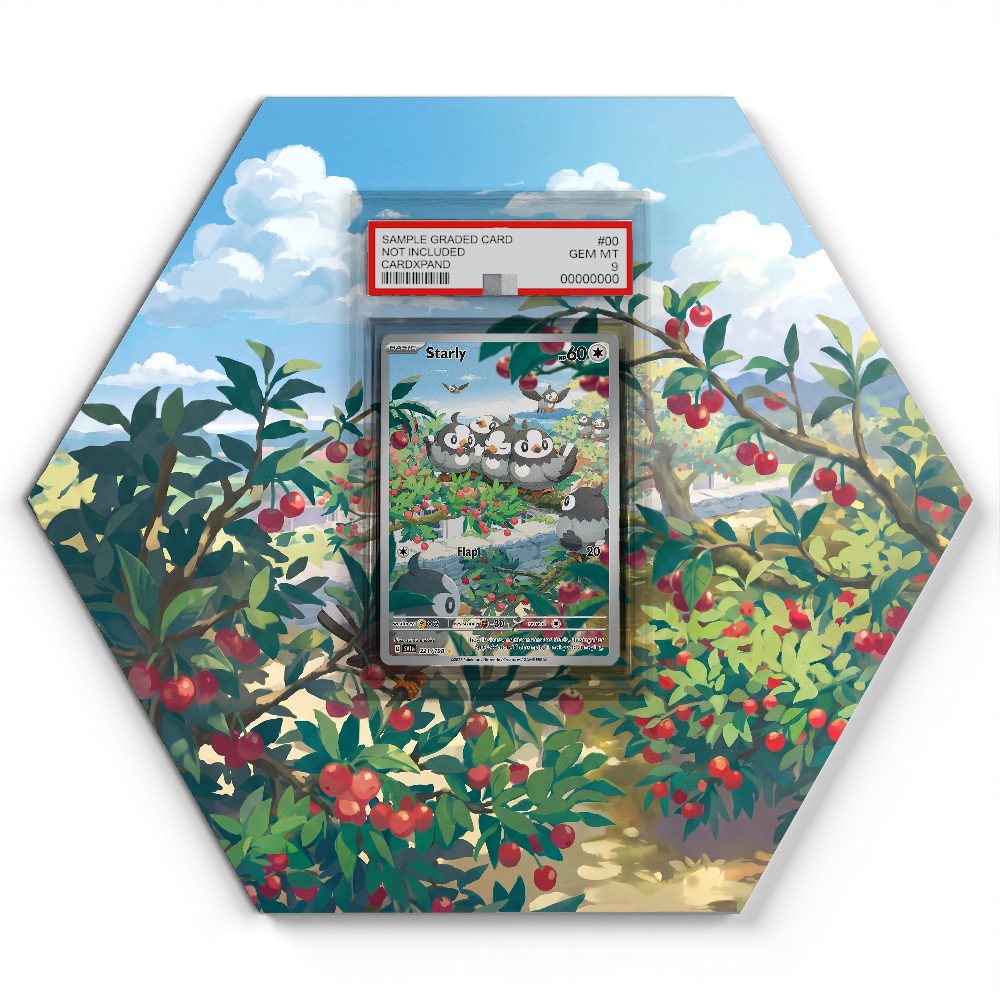 221/198 Starly - Extended Artwork Pokemon Card Display