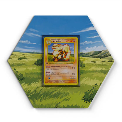 23/102 Arcanine - Extended Artwork Pokemon Card Display