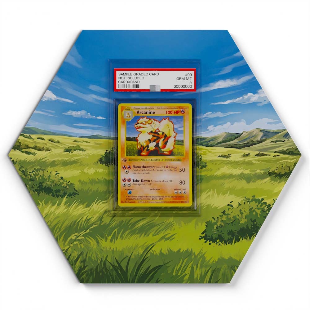 23/102 Arcanine - Extended Artwork Pokemon Card Display