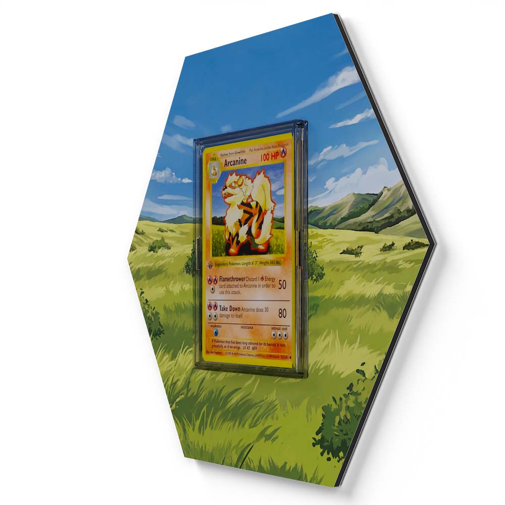 23/102 Arcanine - Extended Artwork Pokemon Card Display