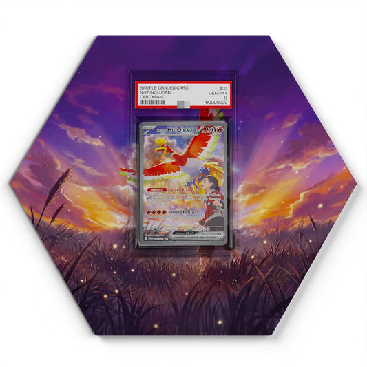 230-182-ethans-ho-oh-ex large graded display