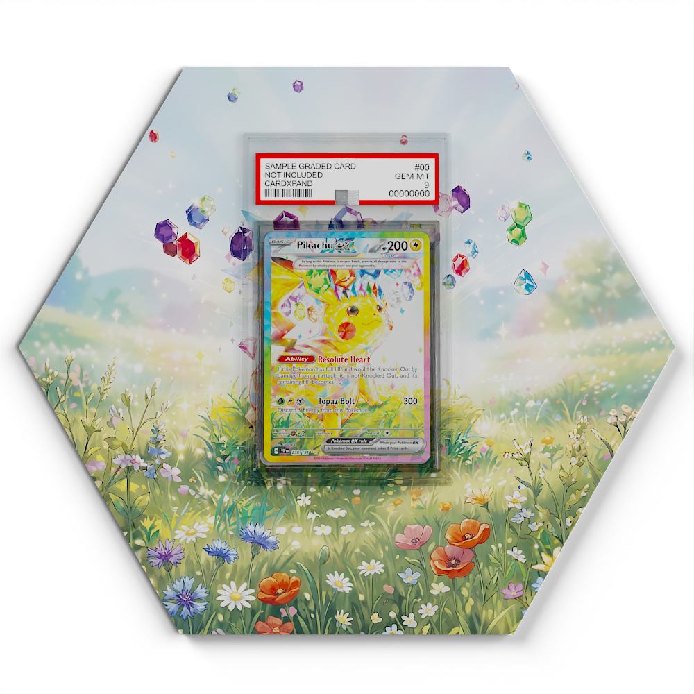 238-191-pikachu-ex large graded display