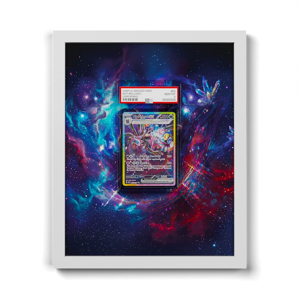 240 Hydreigon EX - Extended Artwork Framed Pokemon Card Display