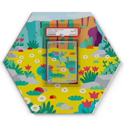 247-217-dreepy large graded display