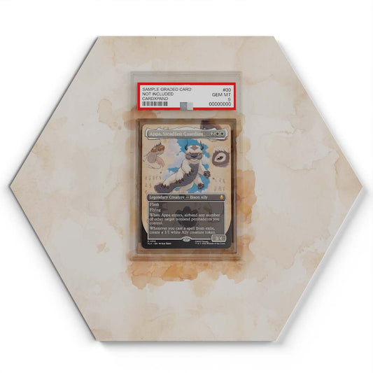 316 Appa, Steadfast Guardian [Borderless] - Extended Artwork MTG Card Display