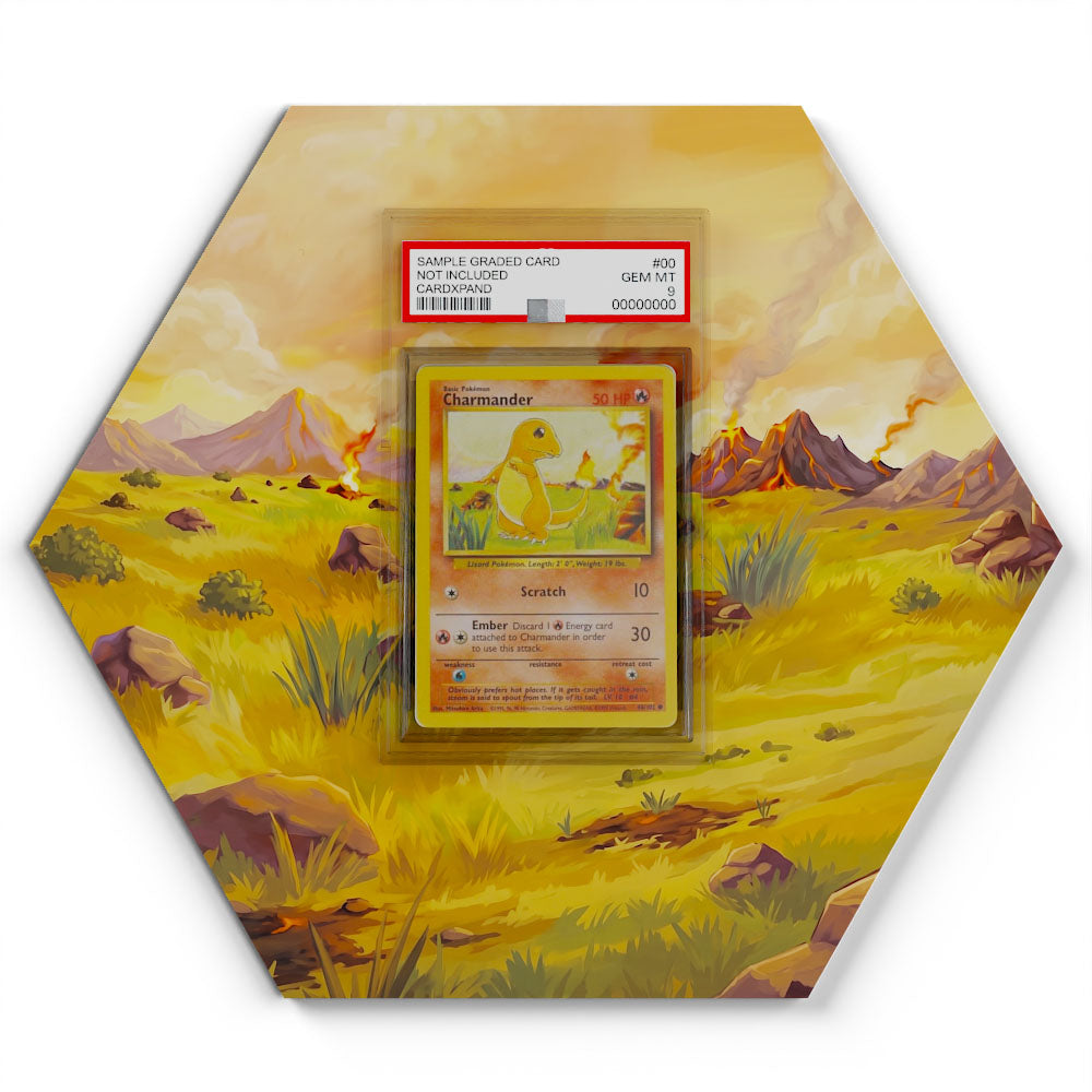 46/102 Charmander - Extended Artwork Pokemon Card Display