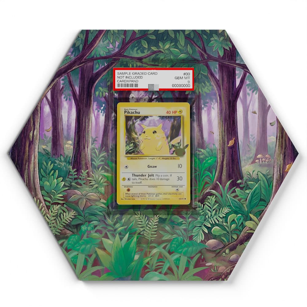 58/102 Pikachu - Extended Artwork Pokemon Card Display