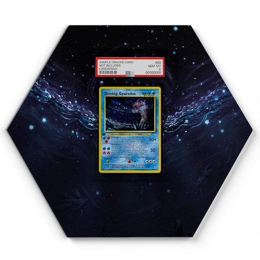 65/64 Shining Gyarados - Extended Artwork Pokemon Card Display