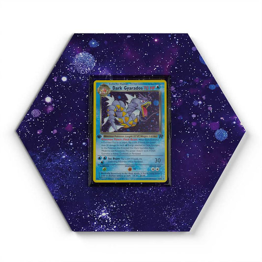 008/082 Dark Gyarados - Extended Artwork Pokemon Card Display