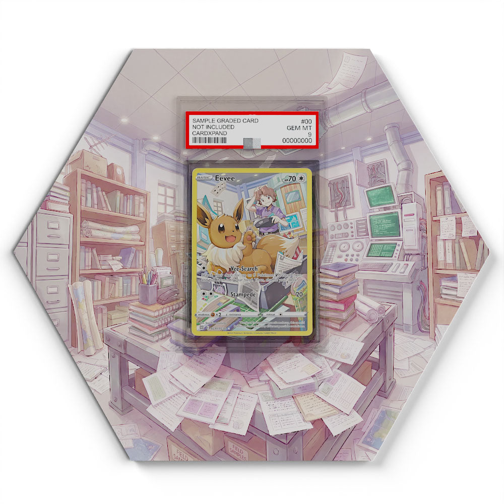 TG11/TG30 Eevee - Extended Artwork Pokemon Card Display