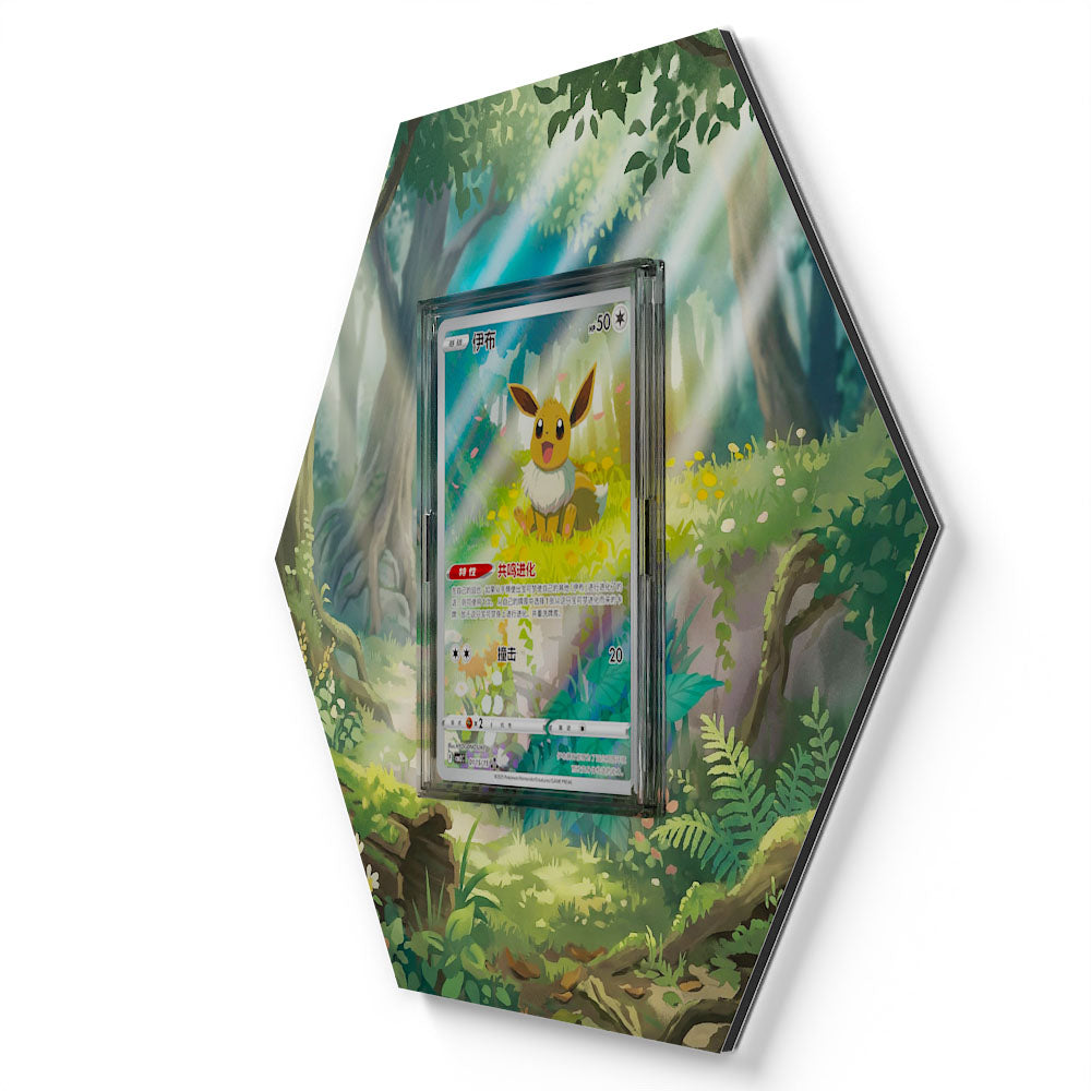 01 Eevee CBB2C - Extended Artwork Pokemon Card Display