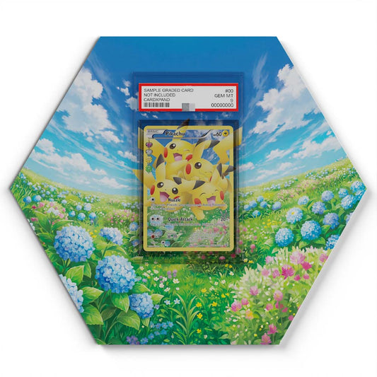 RC29/32 Pikachu - Extended Artwork Pokemon Card Display