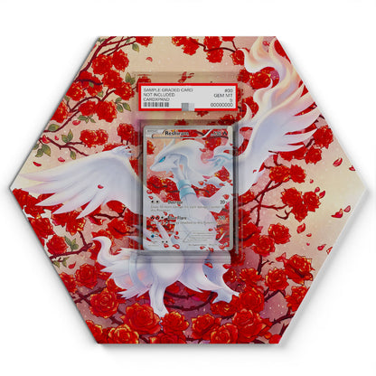RC22/RC25 Reshiram - Extended Artwork Pokemon Card Display