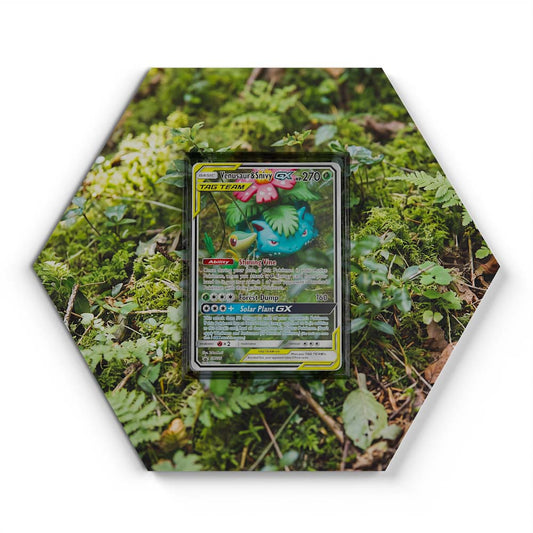 SM229 Venusaur & Snivy GX - Extended Artwork Pokemon Card Display