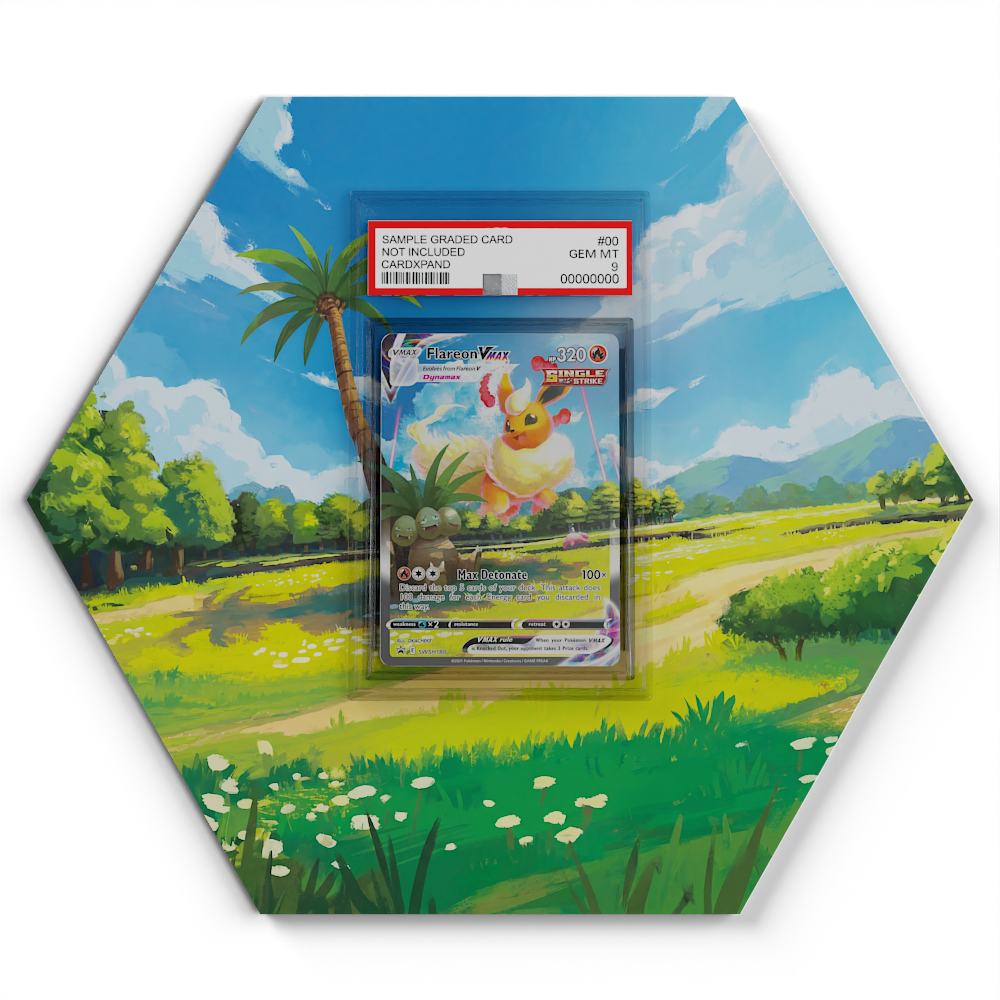 SWSH180 Flareon VMAX - Extended Artwork Pokemon Card Display