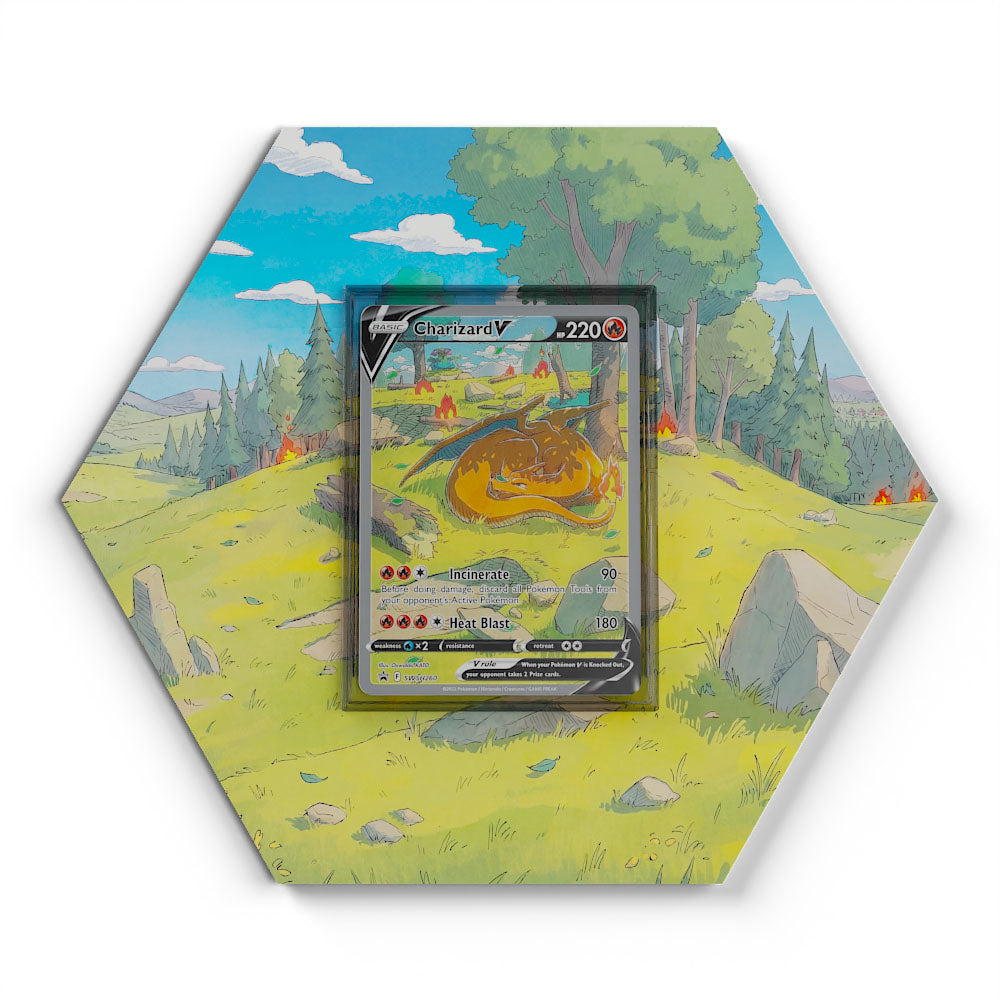 260 Charizard - Extended Artwork Pokemon Card Display