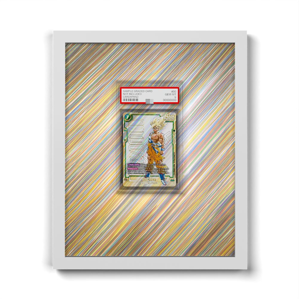 FB05-119 Son Goku - Extended Artwork Dragon Ball Card Frame