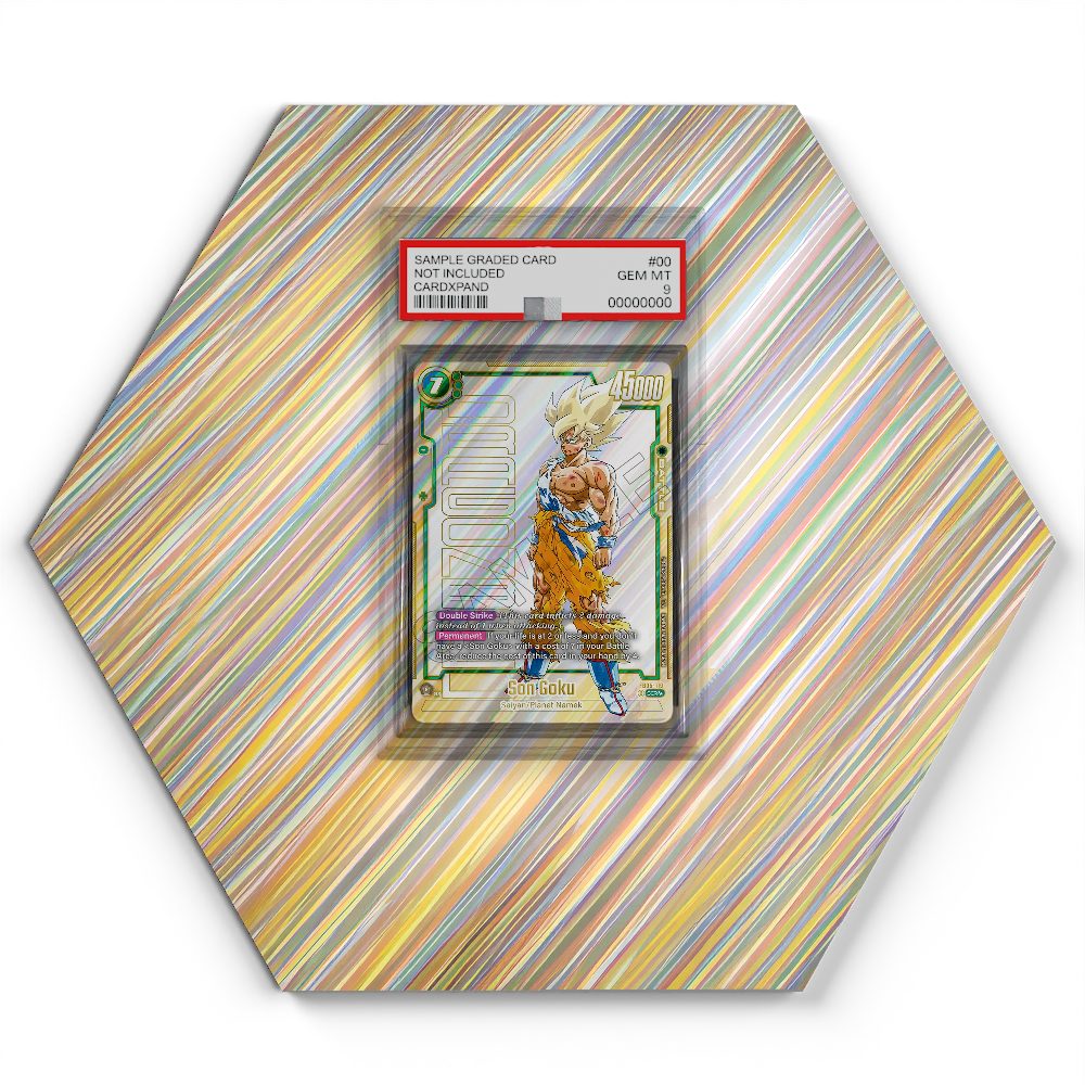 FB05-119 Son Goku - Extended Artwork Dragon Ball Card Display