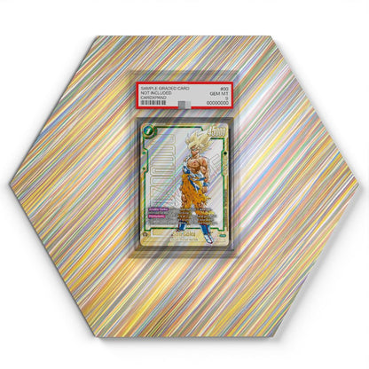 FB05-119 Son Goku - Extended Artwork Dragon Ball Card Display