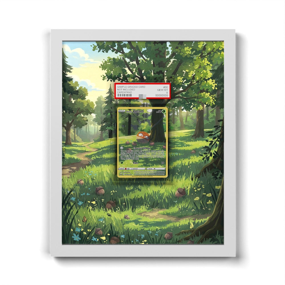 GG01/GG70 Hisuian Voltorb - Extended Artwork Pokemon Card Frame