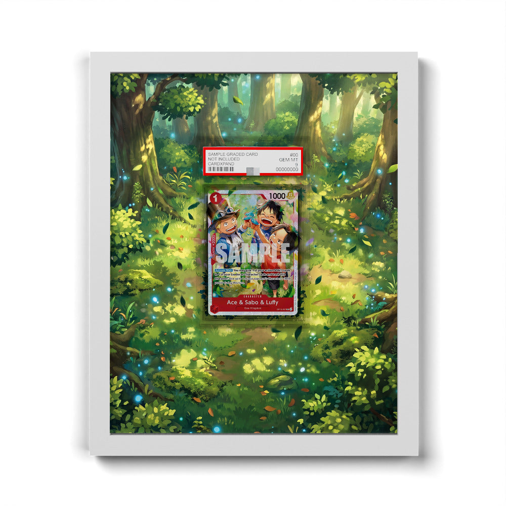 OP13-007 SR Ace & Sabo & Luffy - Extended Artwork One Piece Card Frame