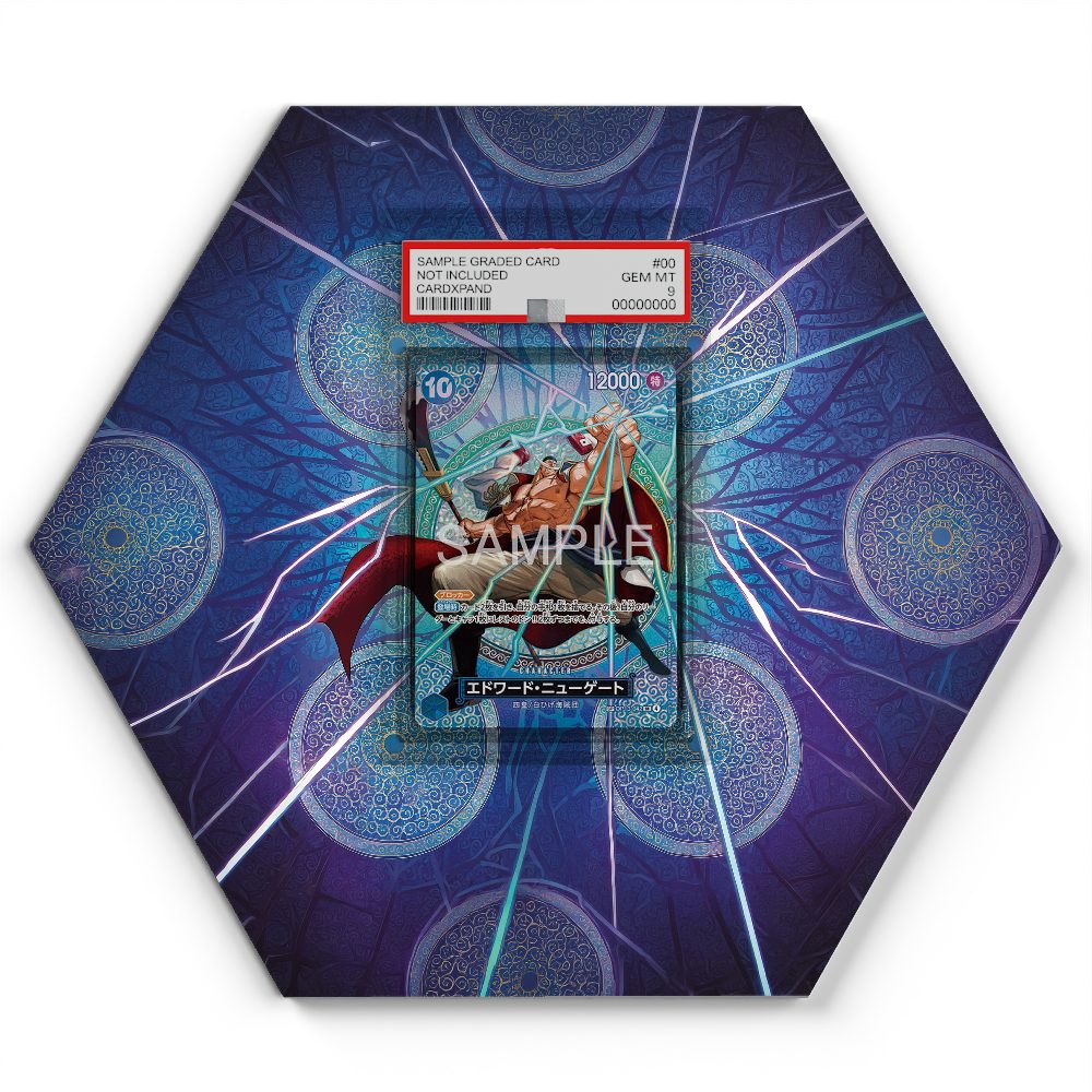 OP13-042 SP Edward Newgate - Extended Artwork One Piece Card Display