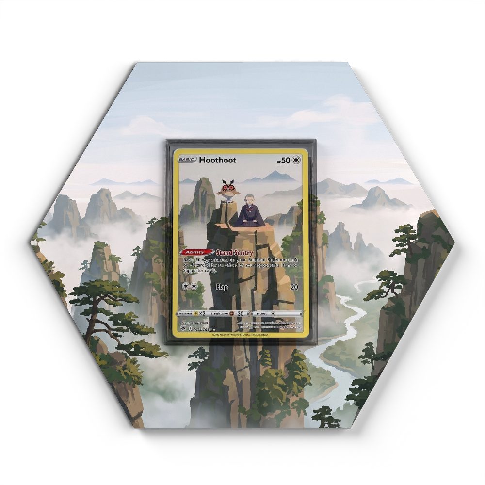 TG12 Hoothoot - Extended Artwork Pokemon Card Display
